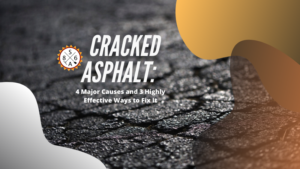 Cracked Asphalt: 4 Major Causes And 3 Highly Effective Ways To Fix It ...